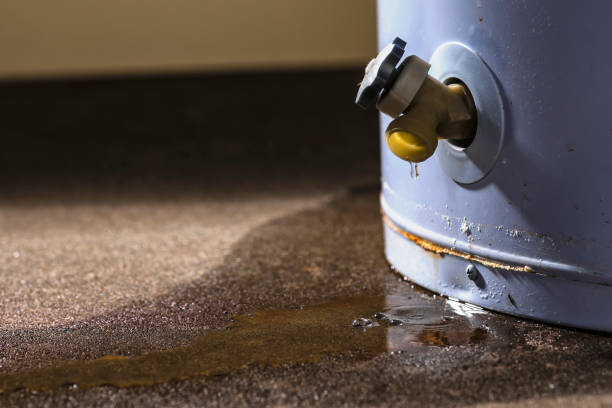 Best Basement water damage restoration  in Granger, IN