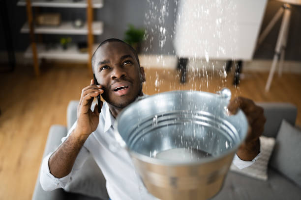 Best Ceiling water damage repair  in Granger, IN