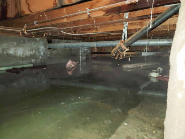 Best Water damage restoration experts  in Granger, IN