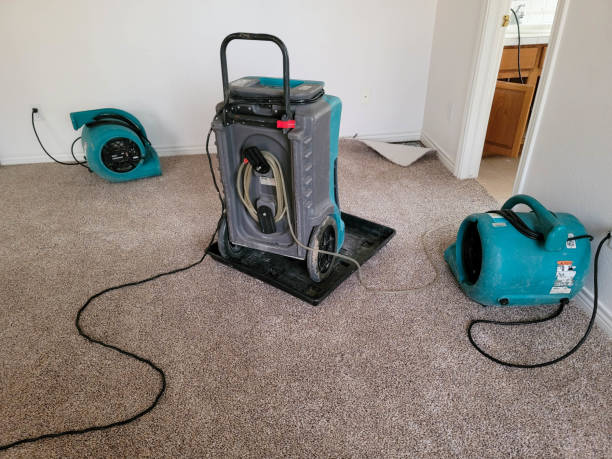 Best Flood restoration services  in Granger, IN