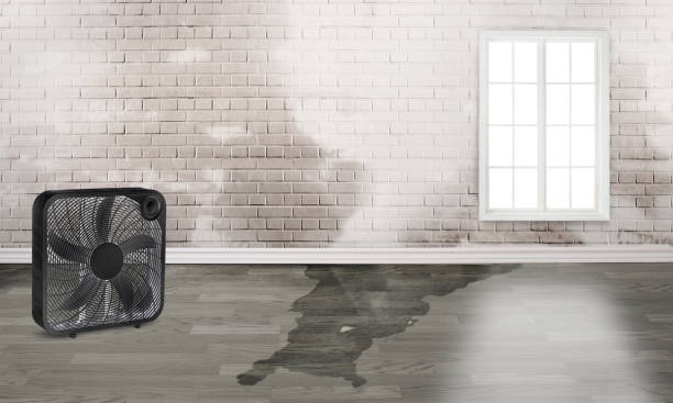 Best Emergency water damage restoration  in Granger, IN