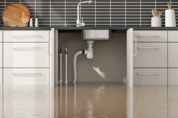 Best Water damage restoration near me  in Granger, IN