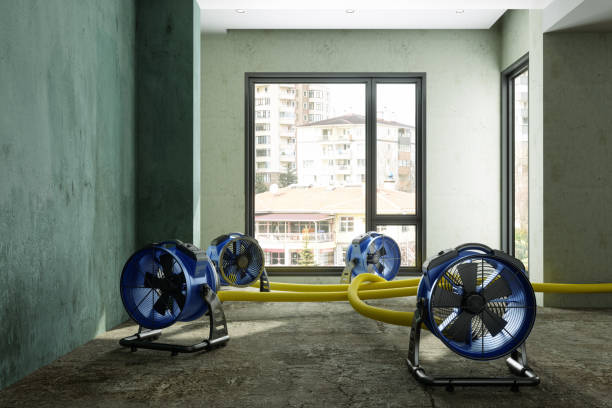 Best Carpet water damage restoration  in Granger, IN